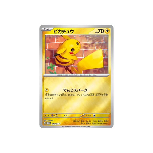 Pokémon Card Special Summer Promo Card Pack 2024 Japanese image 1