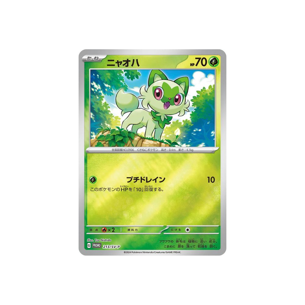 Pokémon Card Special Summer Promo Card Pack 2024 Japanese image 2