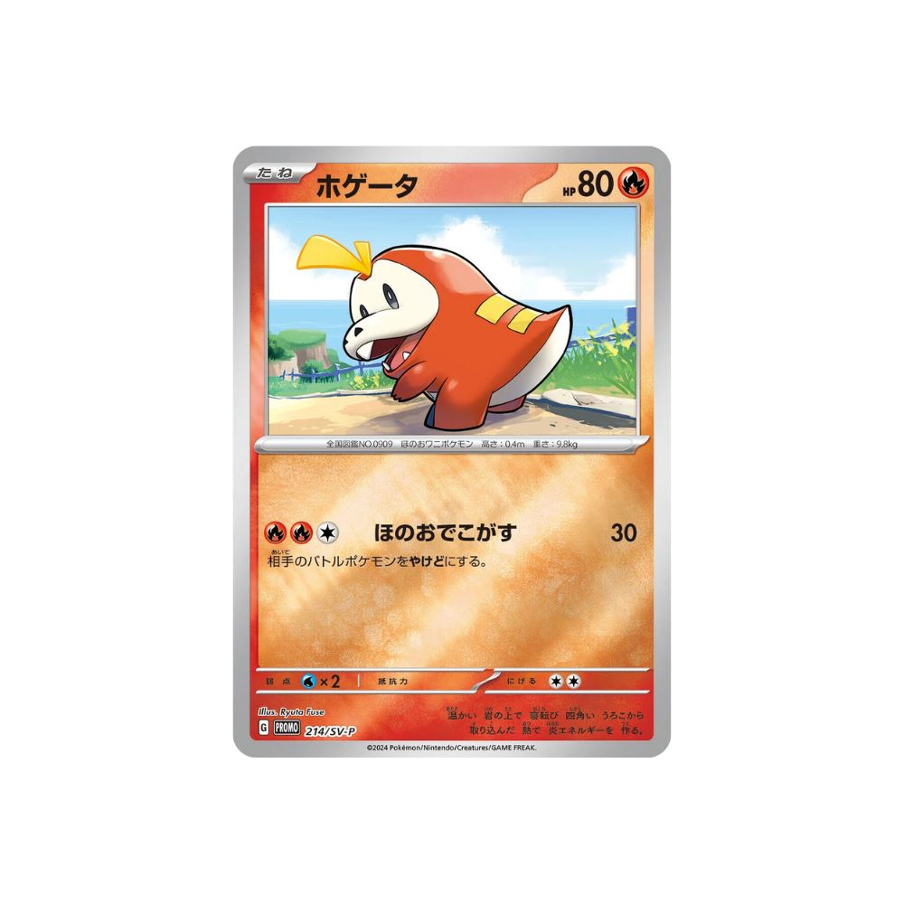 Pokémon Card Special Summer Promo Card Pack 2024 Japanese image 4